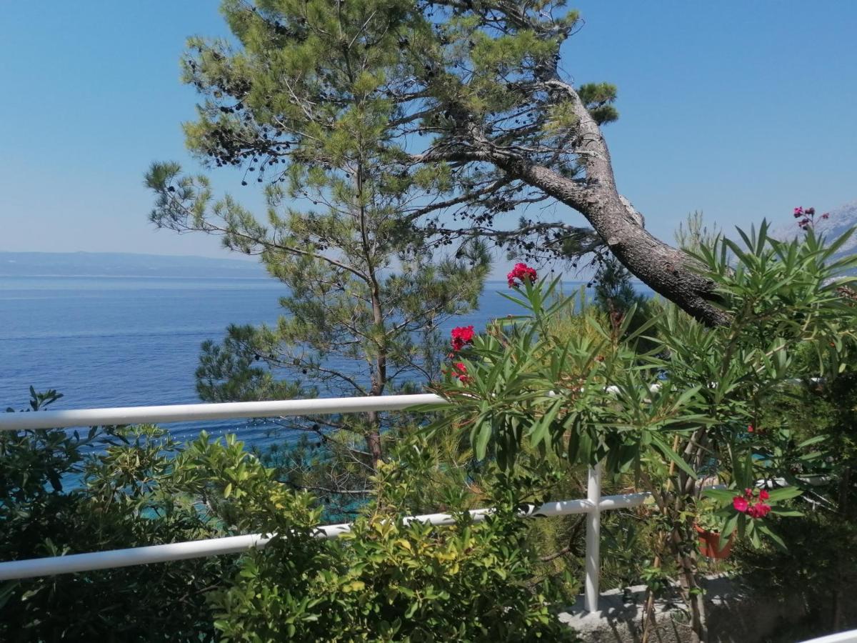 Apartmani Mares - 20 M From The Beach Brela Exteriér fotografie
